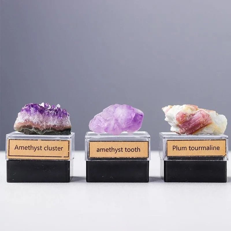 1box Natural Crystal Rough Quartz Amethyst Cluster Health Energy Stone Mineral Specimen Collection Gift Box Healing Stones Set - Gemtopia