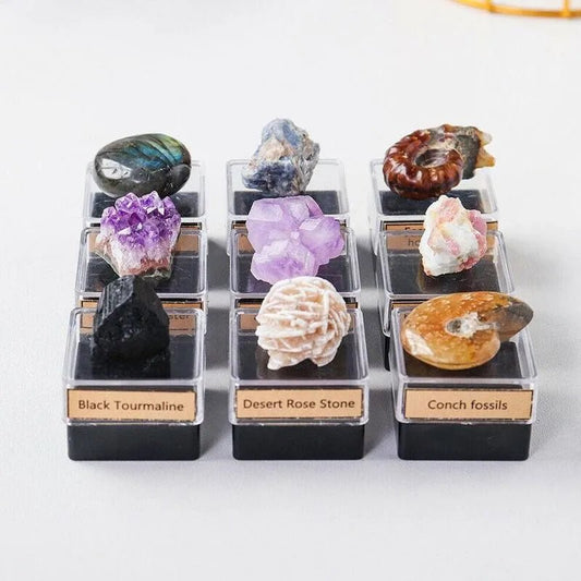 1box Natural Crystal Rough Quartz Amethyst Cluster Health Energy Stone Mineral Specimen Collection Gift Box Healing Stones Set - Gemtopia