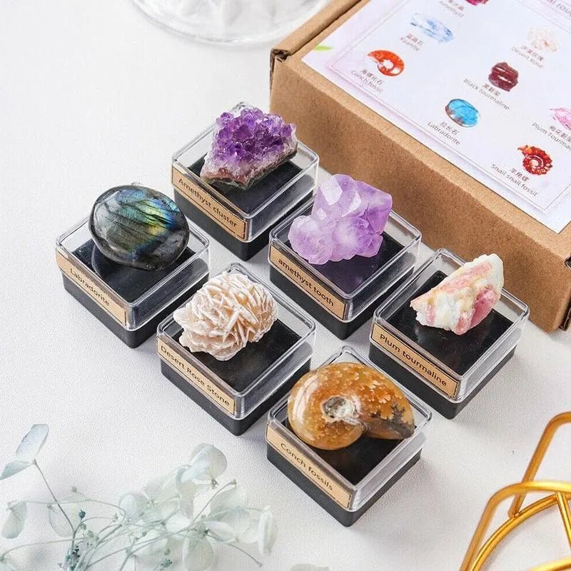 1box Natural Crystal Rough Quartz Amethyst Cluster Health Energy Stone Mineral Specimen Collection Gift Box Healing Stones Set - Gemtopia