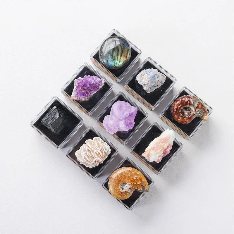 1box Natural Crystal Rough Quartz Amethyst Cluster Health Energy Stone Mineral Specimen Collection Gift Box Healing Stones Set - Gemtopia