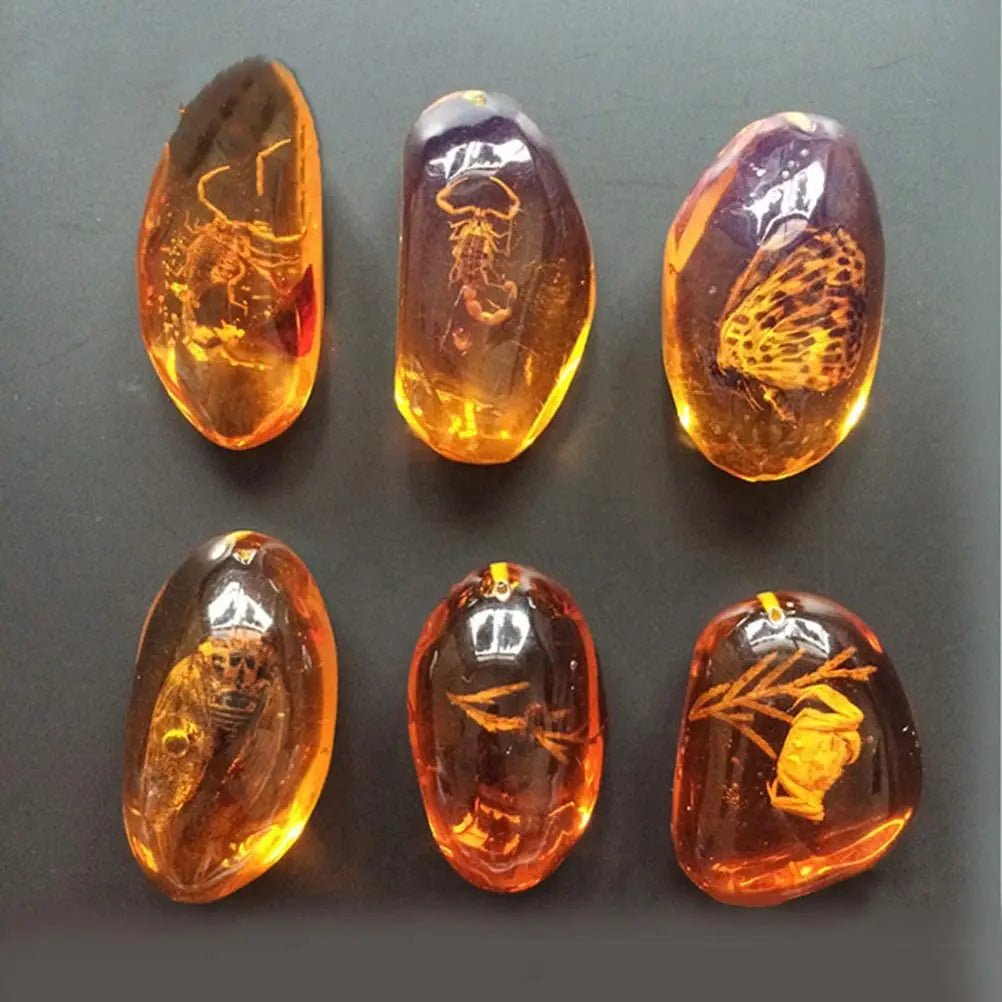 5pcs Amber Fossil with Insects Samples Stones Crystal Specimens Home Decorations Collection Oval Pendant (Random Pattern) - Gemtopia