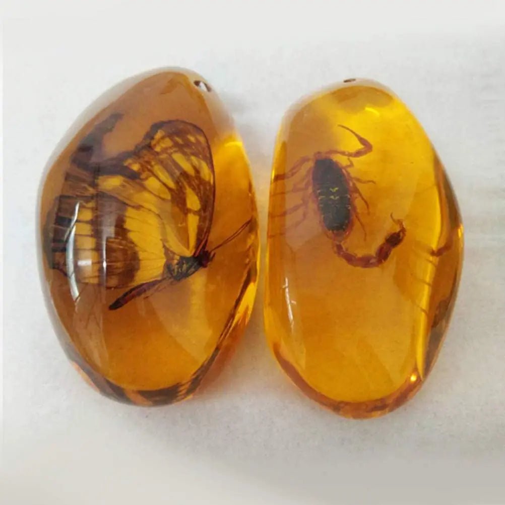 5pcs Amber Fossil with Insects Samples Stones Crystal Specimens Home Decorations Collection Oval Pendant (Random Pattern) - Gemtopia