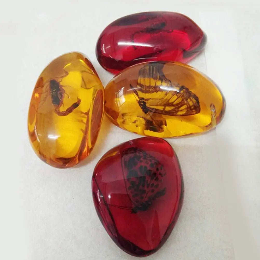 5pcs Amber Fossil with Insects Samples Stones Crystal Specimens Home Decorations Collection Oval Pendant (Random Pattern) - Gemtopia