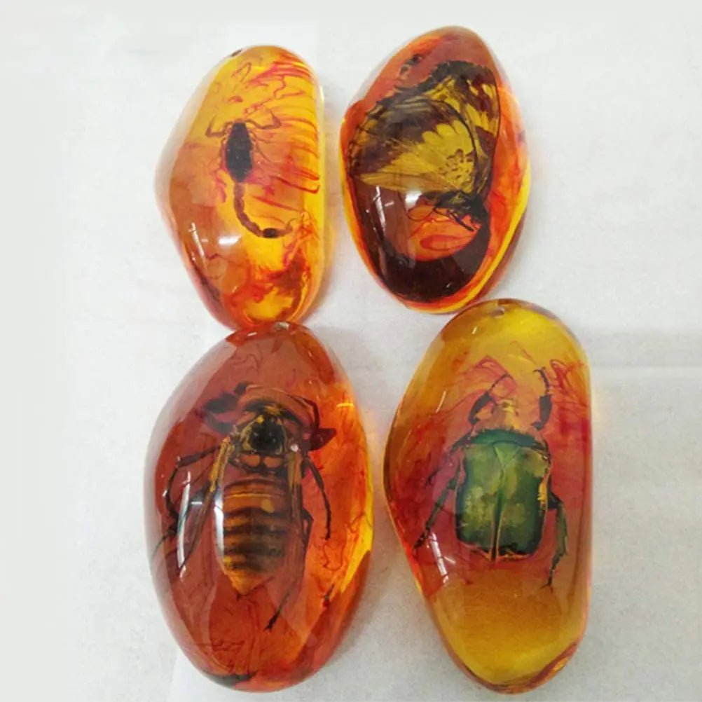 5pcs Amber Fossil with Insects Samples Stones Crystal Specimens Home Decorations Collection Oval Pendant (Random Pattern) - Gemtopia