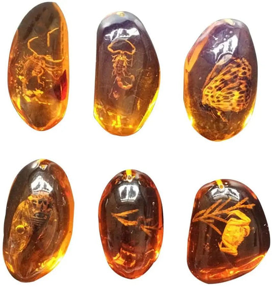 5pcs Amber Fossil with Insects Samples Stones Crystal Specimens Home Decorations Collection Oval Pendant (Random Pattern) - Gemtopia