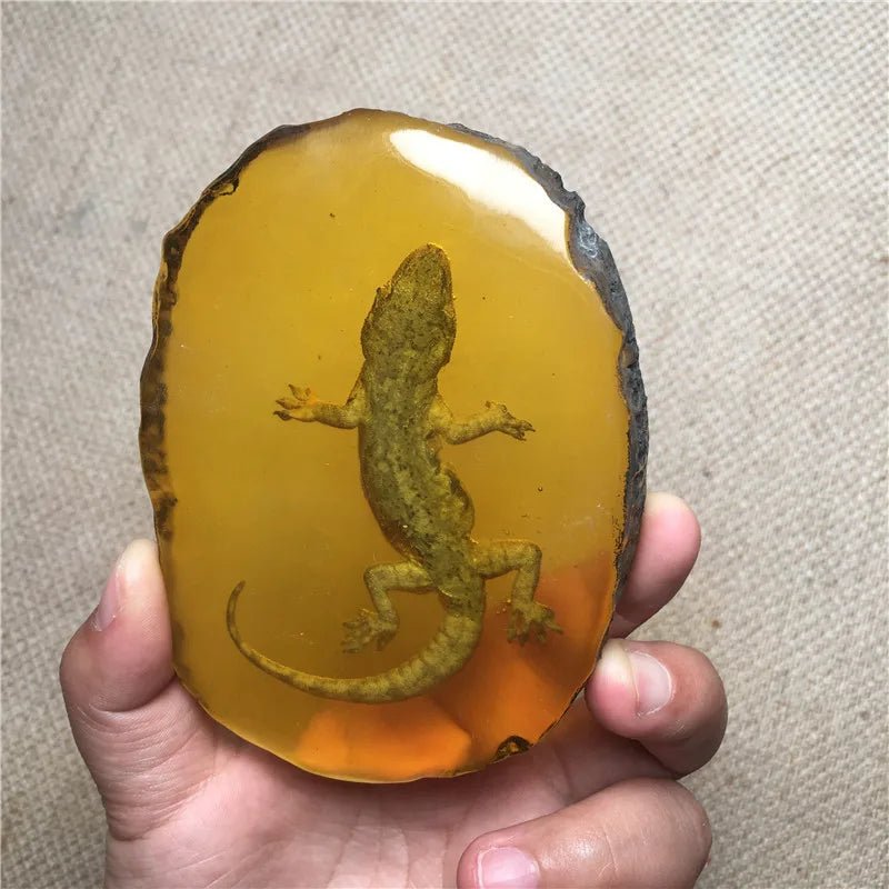 Beautiful Amber Dragonfly Gecko Butterfly I Know Scorpion Fossil Insects Manual Polishing - Gemtopia