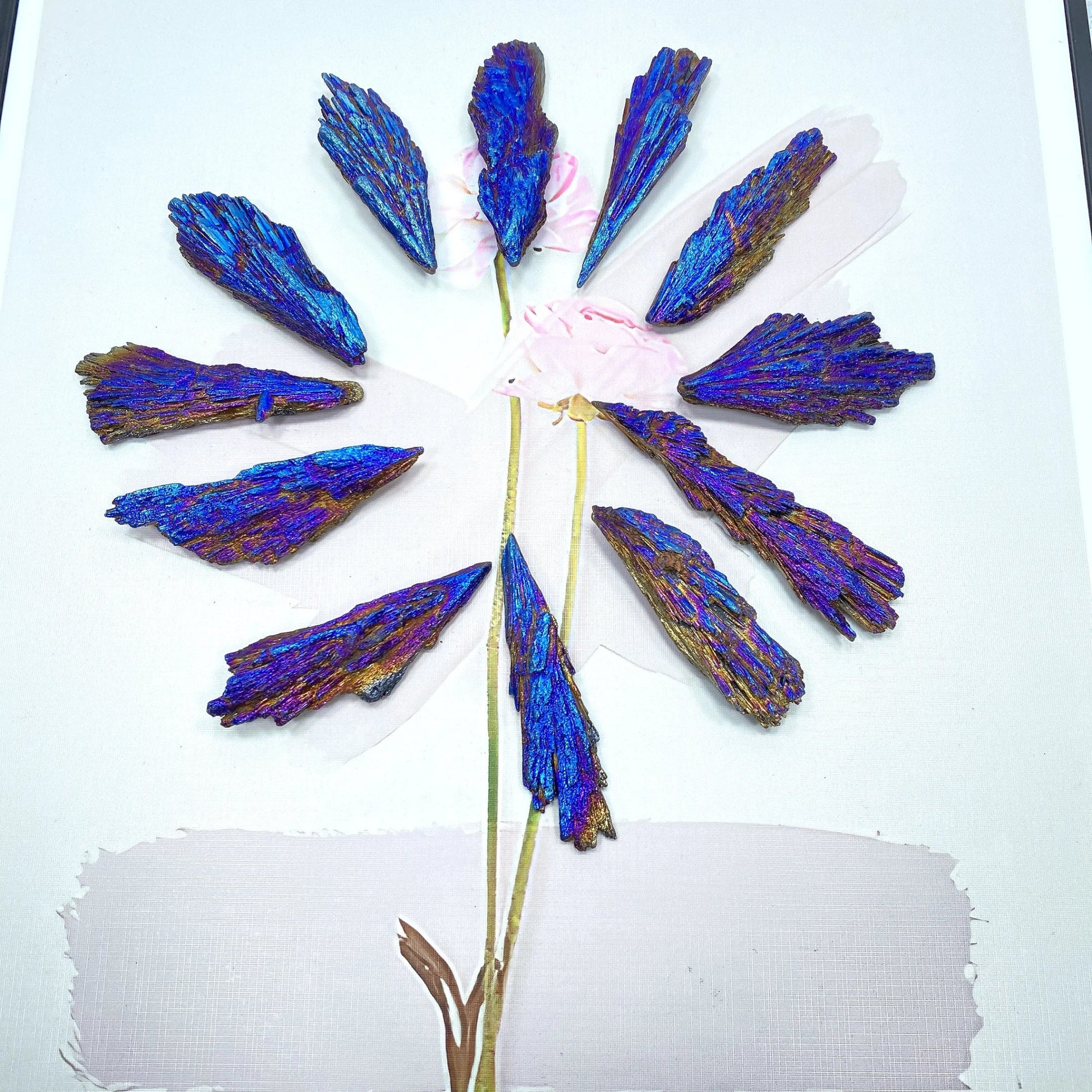 Natural Colorful Tourmaline Electroplated Mineral Rock Stone Titanium Coated Crystal Specimen Healing Home Decor Peacock Feather - Gemtopia